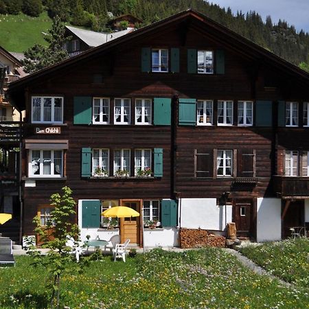 Studio Bim Chalet Bim Chilchli Mürren Екстериор снимка