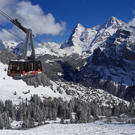 Studio Bim Chalet Bim Chilchli Mürren Екстериор снимка