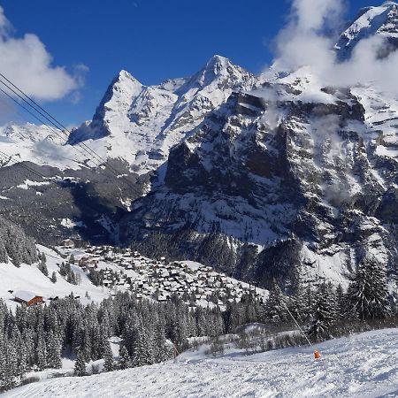 Studio Bim Chalet Bim Chilchli Mürren Екстериор снимка