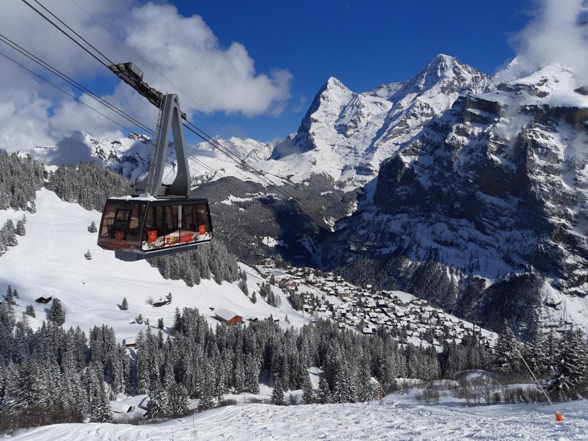 Studio Bim Chalet Bim Chilchli Mürren Екстериор снимка
