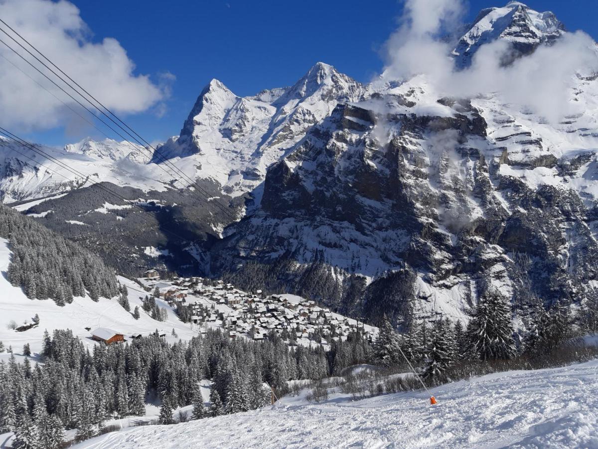Studio Bim Chalet Bim Chilchli Mürren Екстериор снимка